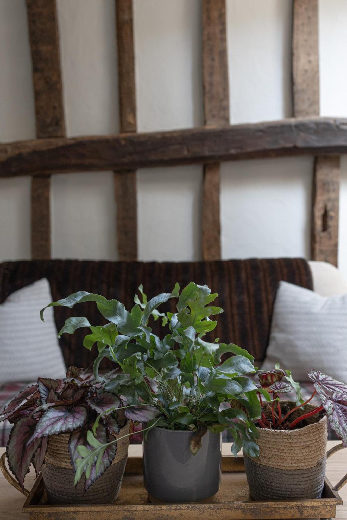 Saltmarsh Farmhouse Westdean Ngoại thất bức ảnh